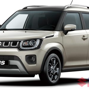 Suzuki Ignis 2021 Binh Duong 30