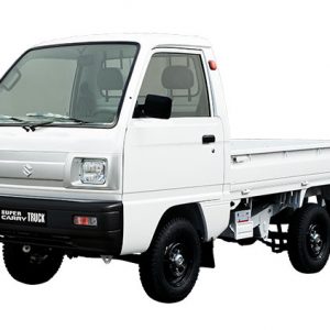 suzuki carry truck binhduong 3