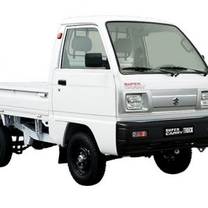 suzuki carry truck binhduong 5