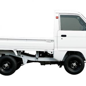 suzuki carry truck binhduong 6