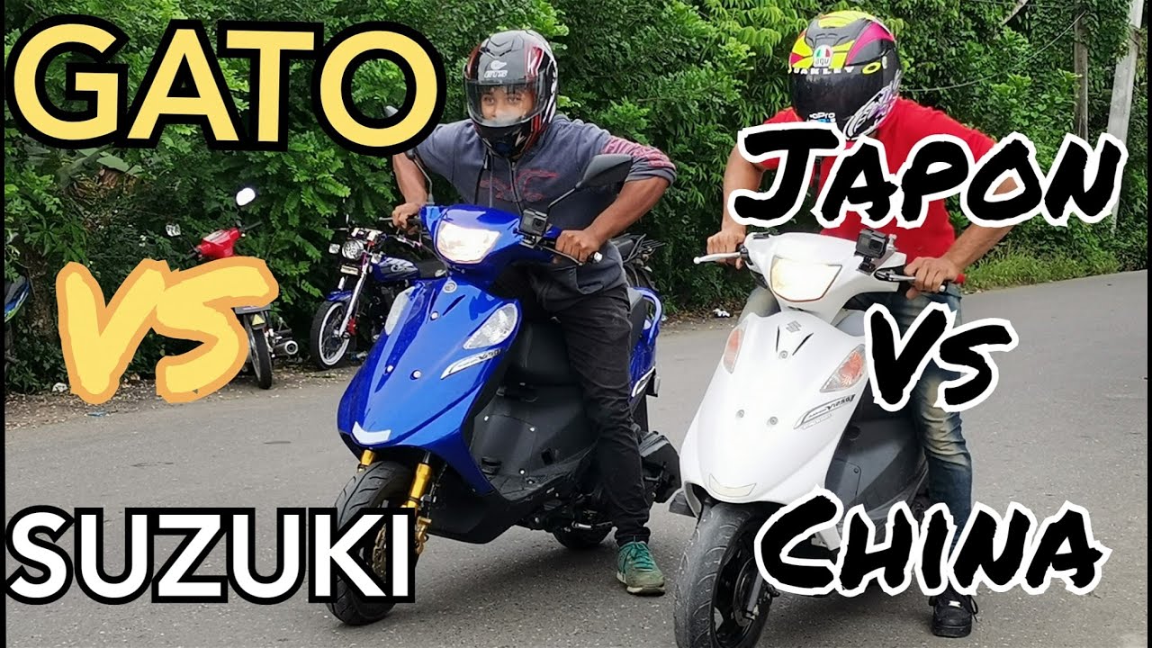 Suzuki SUZUKI vs GATO PRUEBA DE VELOCIDAD EN EL ASFALTO